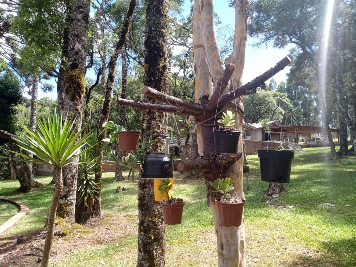 Quartos Recanto Da Natureza Interior 카넬라 외부 사진